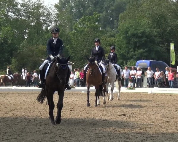Reitturnier Düren - An der Kuhbrücke 2017