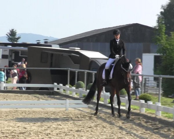 Reitturnier Bühren-Breckerfeld 2017