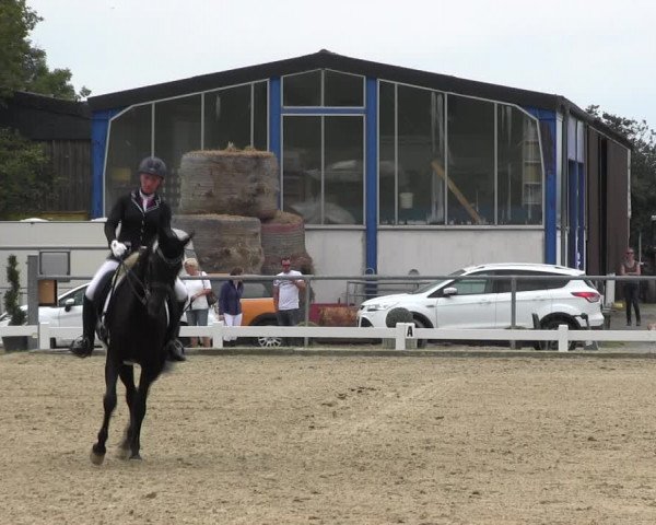 Reitturnier Bühren-Breckerfeld 2017
