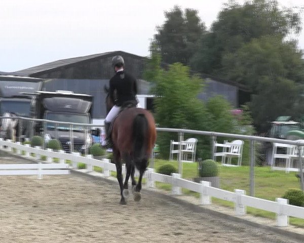 Reitturnier Bühren-Breckerfeld 2017