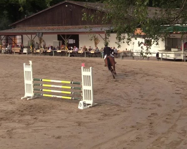 Reitturnier Recklinghausen 2017