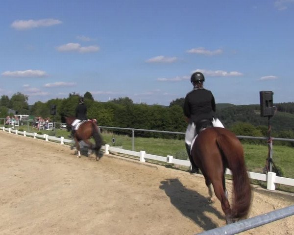 Reitturnier Bühren-Breckerfeld 2017