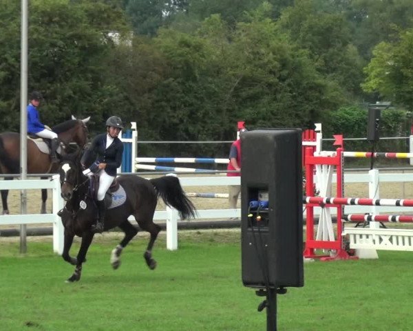 Reitturnier Düren - An der Kuhbrücke 2017