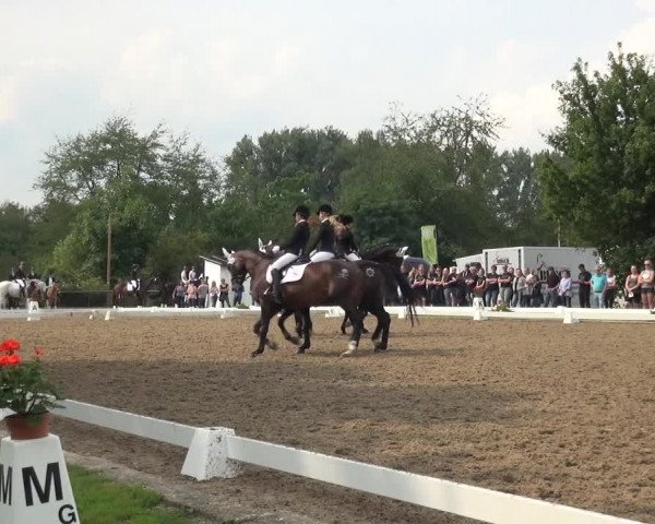 Reitturnier Düren - An der Kuhbrücke 2017