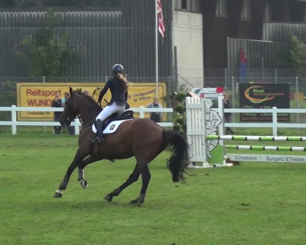 Reitturnier Düren - An der Kuhbrücke 2017