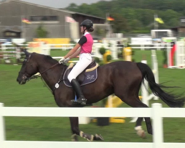 Reitturnier Düren - An der Kuhbrücke 2017