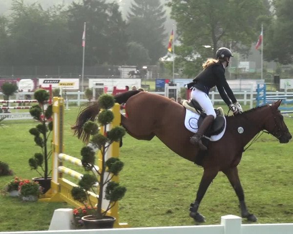 Reitturnier Düren - An der Kuhbrücke 2017