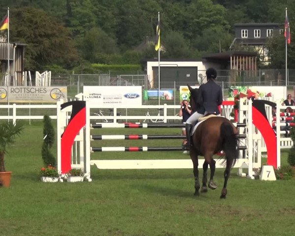 Reitturnier Düren - An der Kuhbrücke 2017