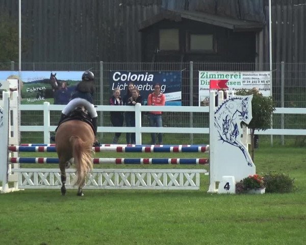 Reitturnier Düren - An der Kuhbrücke 2017