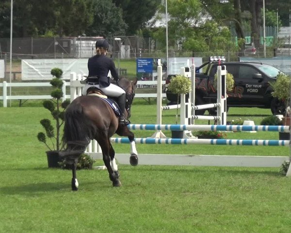 Reitturnier Düren - An der Kuhbrücke 2017