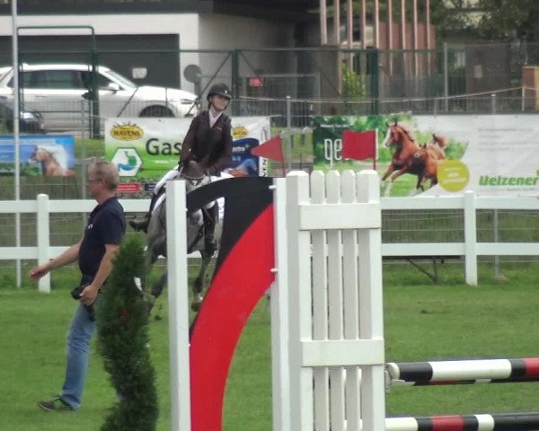 Reitturnier Düren - An der Kuhbrücke 2017