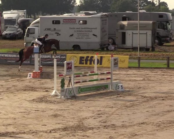 Reitturnier Recklinghausen 2017