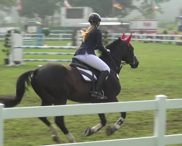 Reitturnier Düren - An der Kuhbrücke 2017