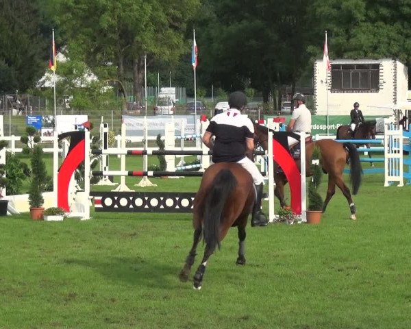 Reitturnier Düren - An der Kuhbrücke 2017