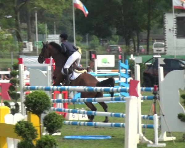 Reitturnier Düren - An der Kuhbrücke 2017