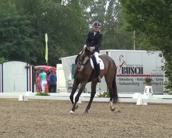 Reitturnier Düren - An der Kuhbrücke 2017