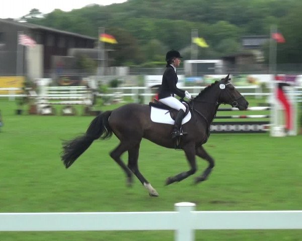 Reitturnier Düren - An der Kuhbrücke 2017