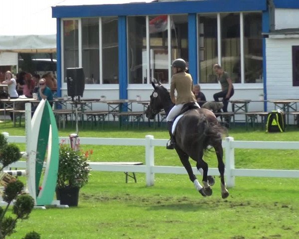 Reitturnier Düren - An der Kuhbrücke 2017