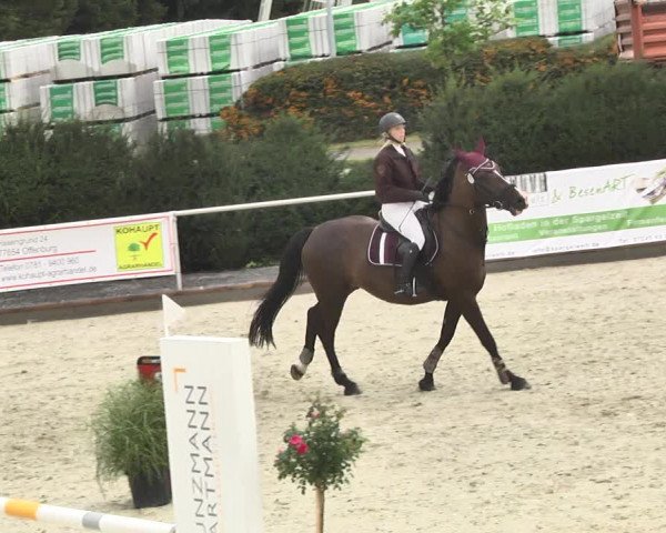 Reitturnier Durmersheim-Hardt 2017