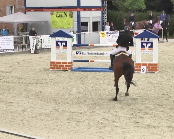 Reitturnier Durmersheim-Hardt 2017