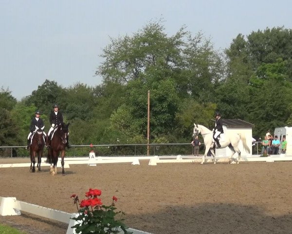 Reitturnier Düren - An der Kuhbrücke 2017