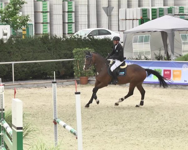 Reitturnier Durmersheim-Hardt 2017