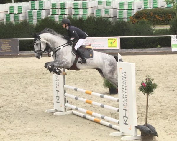 Reitturnier Durmersheim-Hardt 2017
