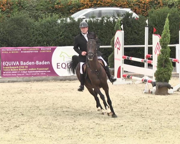 Reitturnier Durmersheim-Hardt 2017