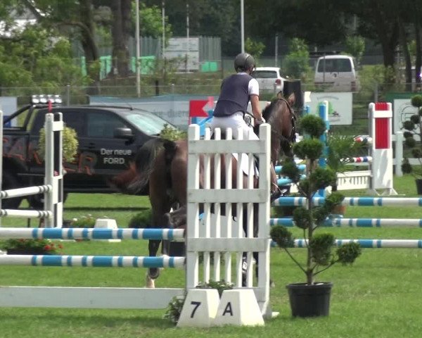 Reitturnier Düren - An der Kuhbrücke 2017