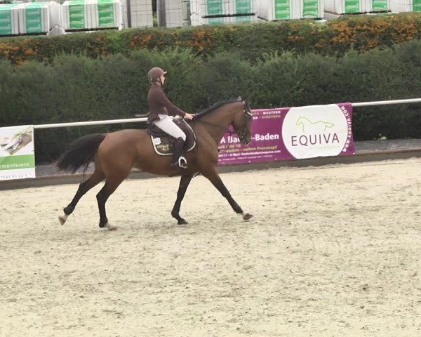 Reitturnier Durmersheim-Hardt 2017