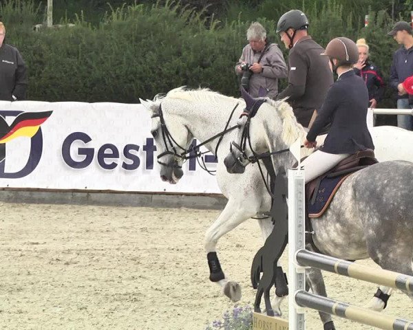 Reitturnier Durmersheim-Hardt 2017