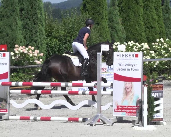 Reitturnier Illertissen 2017