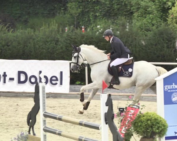 Reitturnier Durmersheim-Hardt 2017