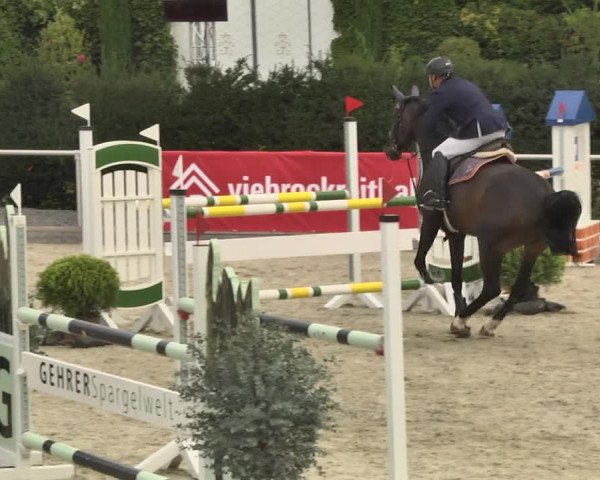 Reitturnier Durmersheim-Hardt 2017