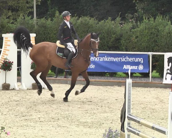 Reitturnier Durmersheim-Hardt 2017