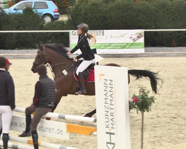 Reitturnier Durmersheim-Hardt 2017