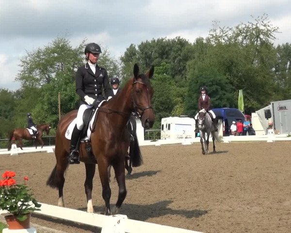 Reitturnier Düren - An der Kuhbrücke 2017