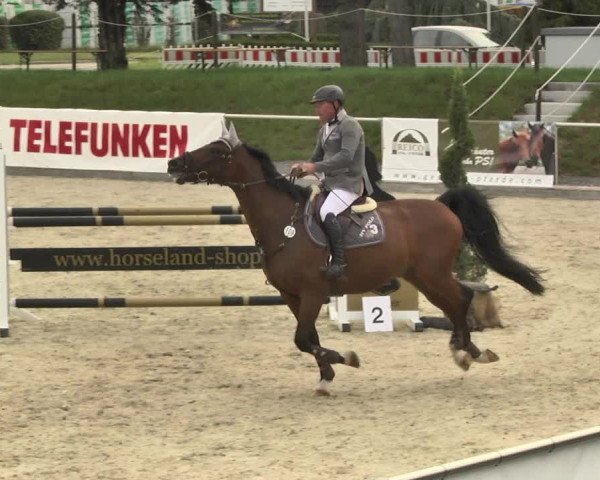 Reitturnier Durmersheim-Hardt 2017