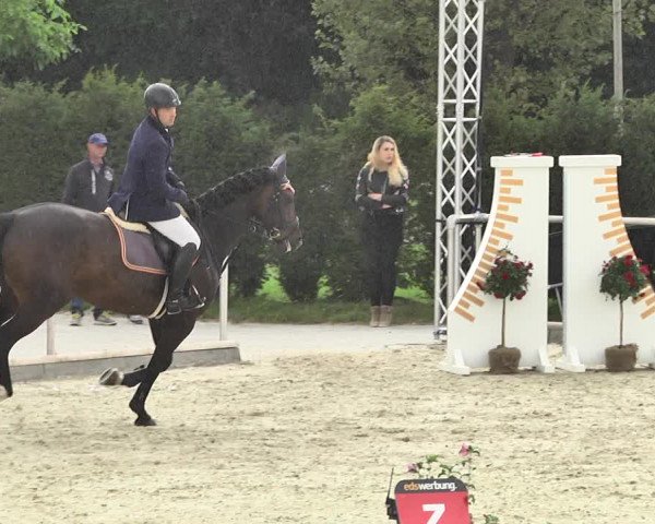 Reitturnier Durmersheim-Hardt 2017