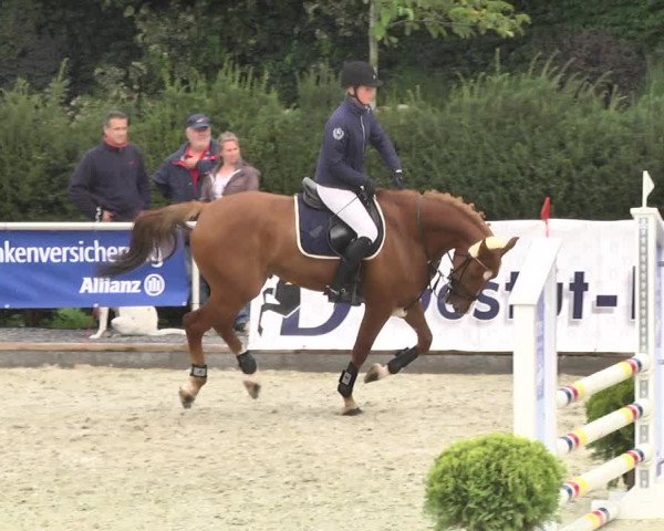 Reitturnier Durmersheim-Hardt 2017