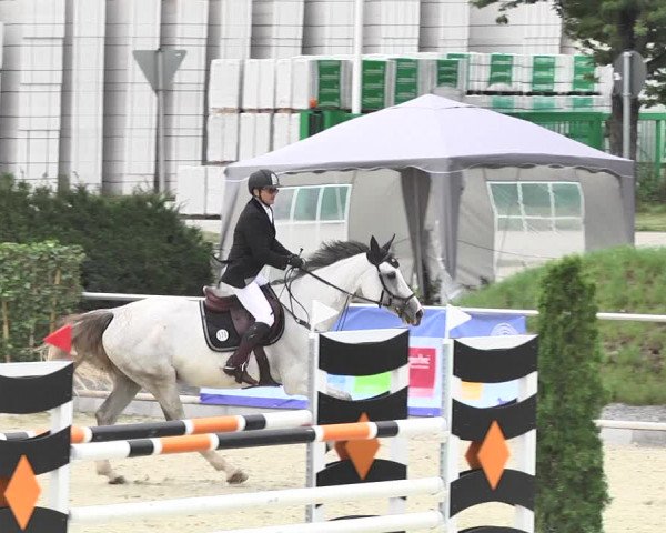 Reitturnier Durmersheim-Hardt 2017
