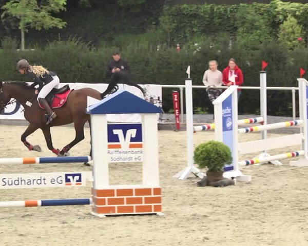 Reitturnier Durmersheim-Hardt 2017