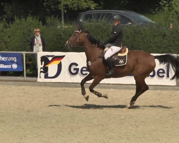Reitturnier Durmersheim-Hardt 2017