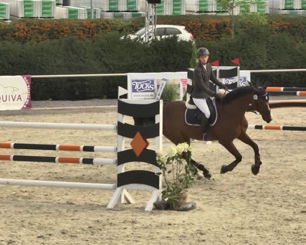Reitturnier Durmersheim-Hardt 2017