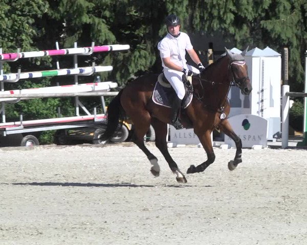 Reitturnier Illertissen 2017