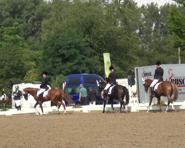 Reitturnier Düren - An der Kuhbrücke 2017
