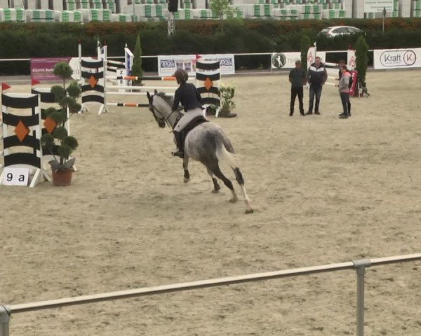 Reitturnier Durmersheim-Hardt 2017