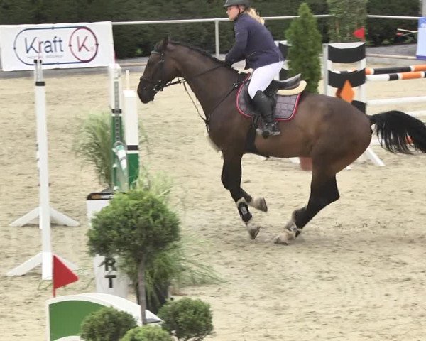 Reitturnier Durmersheim-Hardt 2017