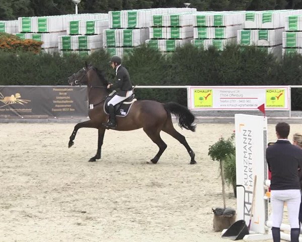Reitturnier Durmersheim-Hardt 2017