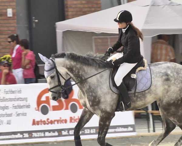 Reitturnier Durmersheim-Hardt 2017